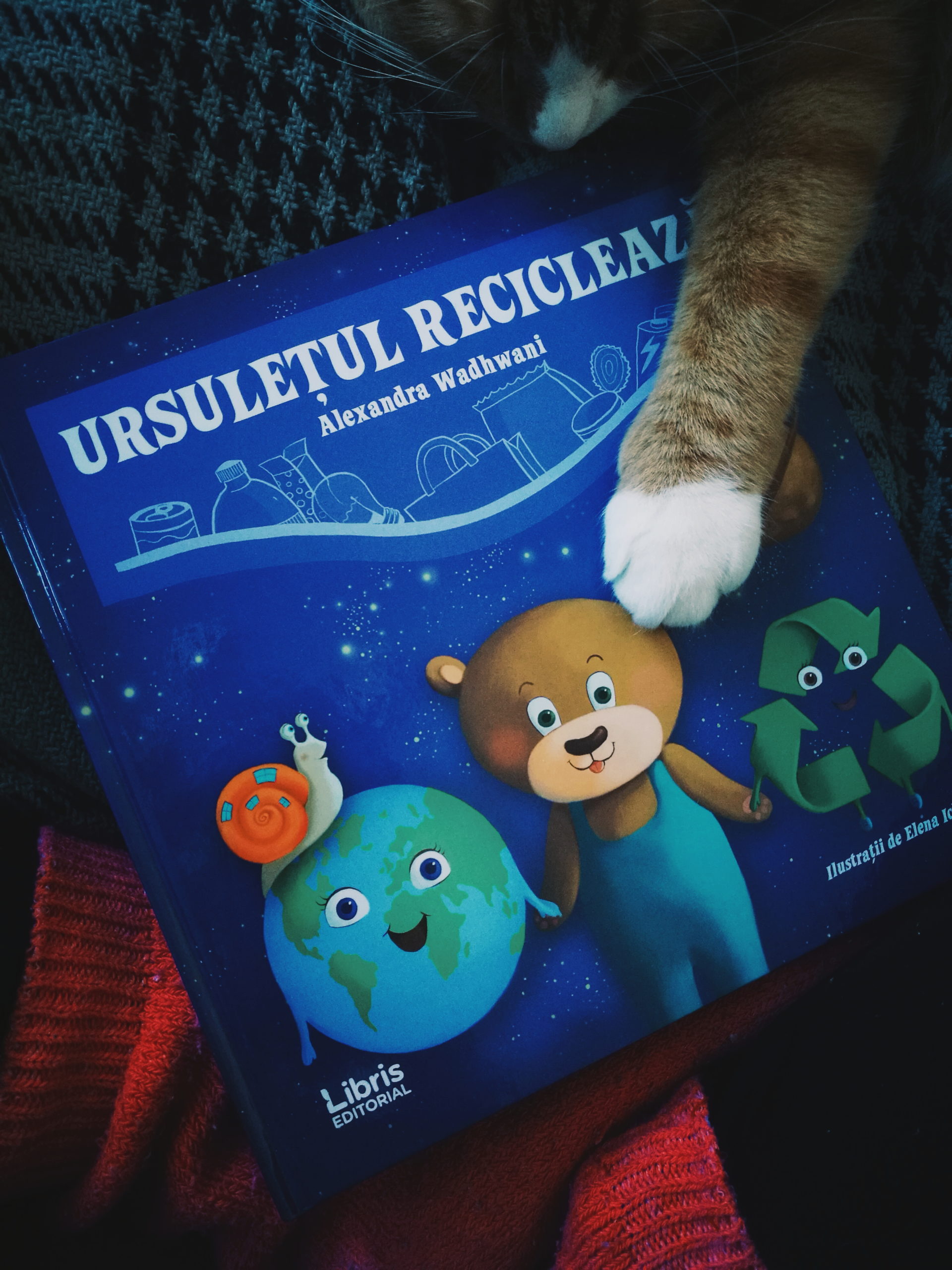 Recomandare de carte: Ursulețul reciclează