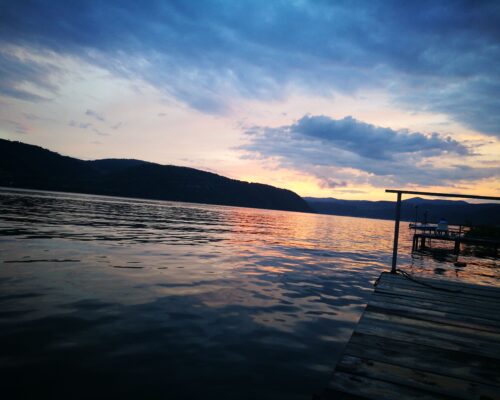 Ghid pentru utilizatorii eco-conștienti de Inteligență Artificială